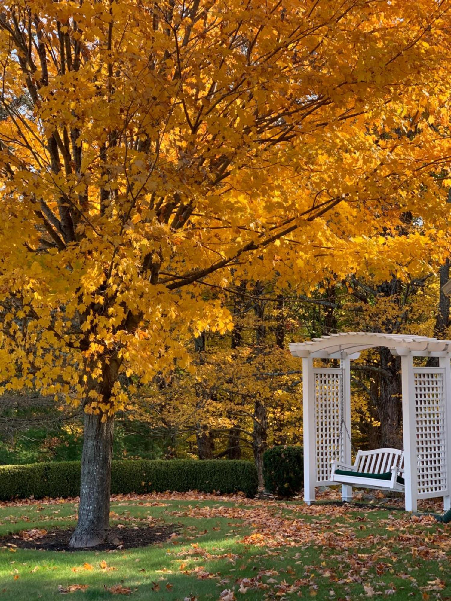 Maguire House Bed And Breakfast Ashburnham Buitenkant foto