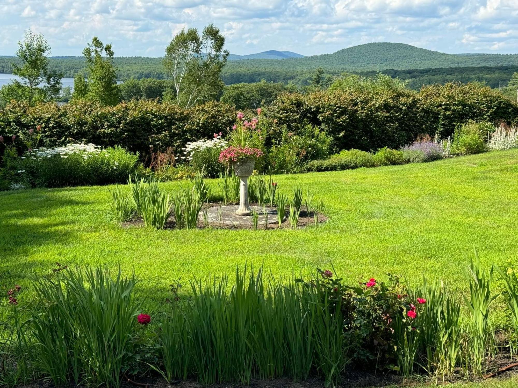 Maguire House Bed And Breakfast Ashburnham Buitenkant foto