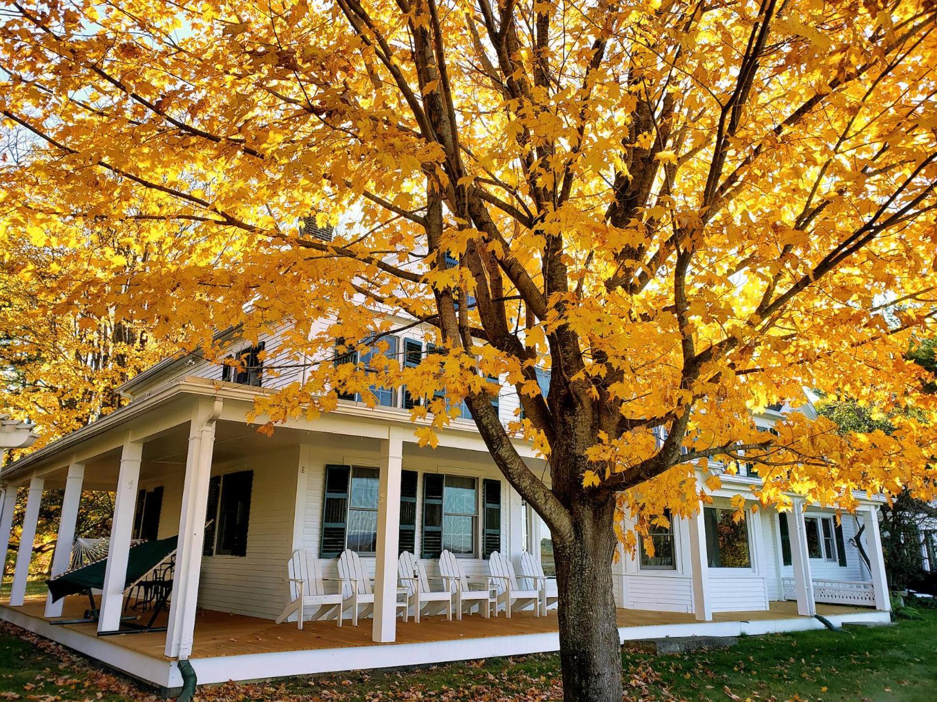 Maguire House Bed And Breakfast Ashburnham Buitenkant foto